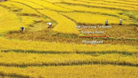 Phụ nữ tuổi này dễ có