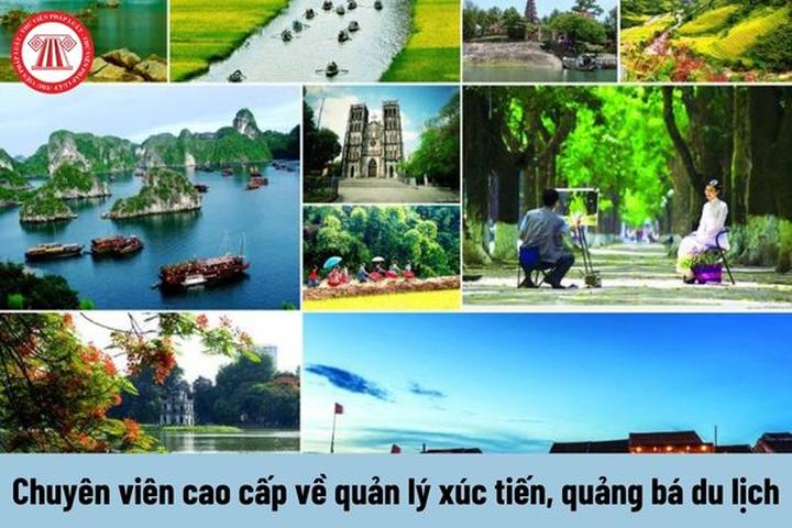 Hotspot Matrix: Tối ưu video tự động, đột phá hiệu quả cho Startup