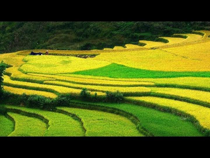Triệu Lộ Tư cắt phăng mái tóc - Cảm hứng video marketing từ Hotspot Matrix