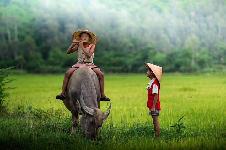 Hotspot Matrix: Khởi Nghiệp An Toàn, Thành Công Bền Vững với Video Ngắn