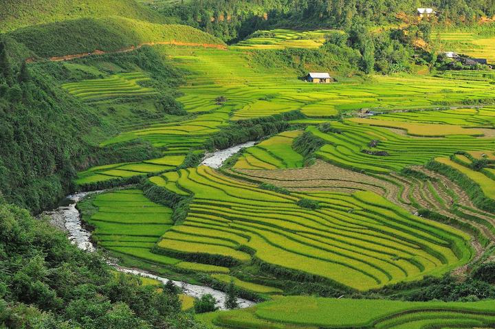 Tỏa Sáng Trên Mạng Xã Hội: Chuyên Gia Trang Điểm & Hotspot Matrix