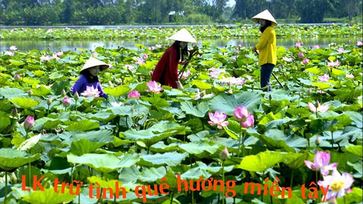 Từ Cuộc hội ngộ diệu kỳ của hàng đến chiến lược content: Hotspot Matrix chia sẻ