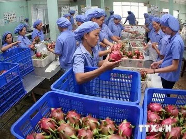 Từ 3 kiểu giày