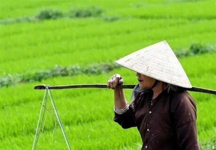 Chuyên gia Hotspot Matrix phân tích: Tận hưởng FIFA Club World Cup và marketing video